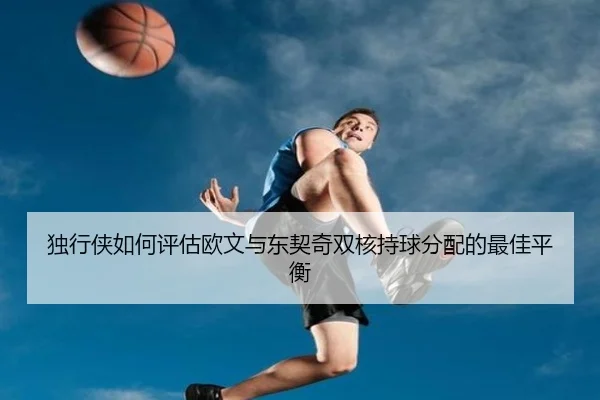 du-xing-xia-ru-he-ping-gu-ou-wen-yu-dong-qi-qi-shuang-he-chi-qiu-fen-pei-de-zui-jia-ping-heng-2-583.jpg