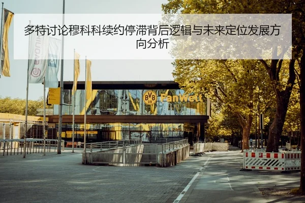 多特讨论穆科科续约停滞背后逻辑与未来定位发展方向分析