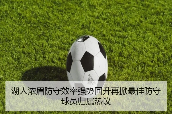 湖人浓眉防守效率强势回升再掀最佳防守球员归属热议